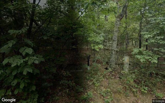 Decorative background for 0.35 Acres in Basye - Shenandoah County, VA image 6