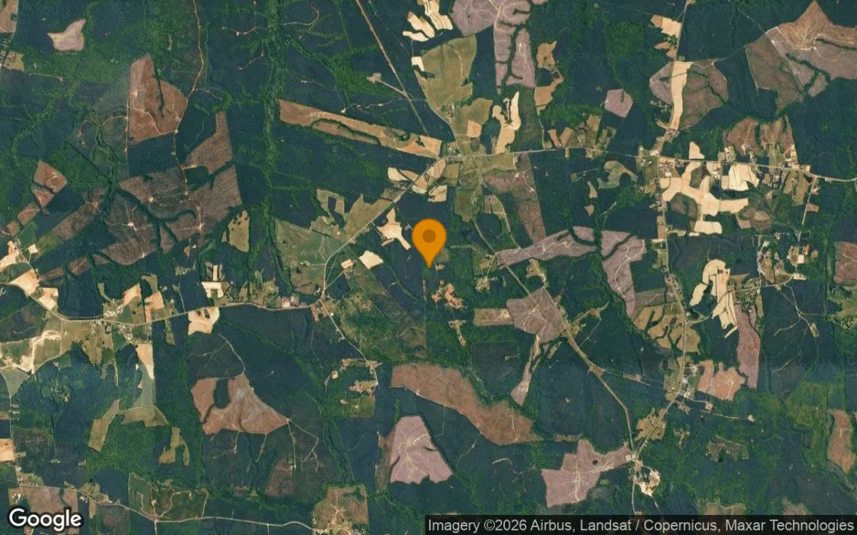 9.6 Acres in White Plains - Brunswick County, VA - Image 3
