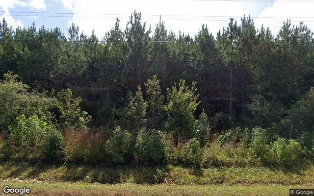 9.6 Acres in White Plains - Brunswick County, VA - Image 4