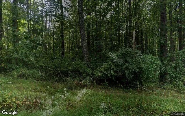 3.49 Acres in Orange - Madison County, VA - Image 4
