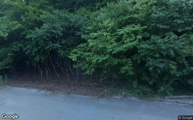 Decorative background for 8.33 Acres in Bee - Dickenson County, VA image 5