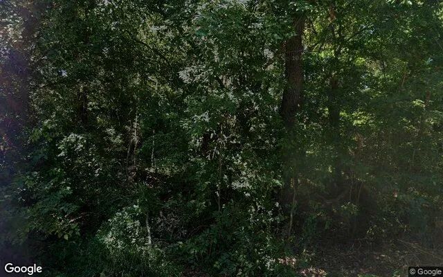 Decorative background for 0.49 Acres in Champlain - Essex County, VA image 5