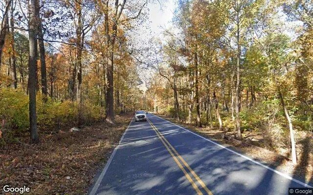 Decorative background for 3.53 Acres in Bluemont - Clarke County, VA image 6