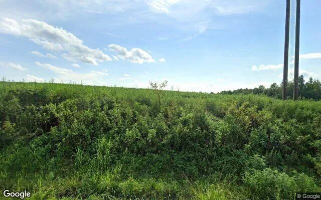 35.18 Acres in Charlotte Court House - Charlotte County, VA - Image 4