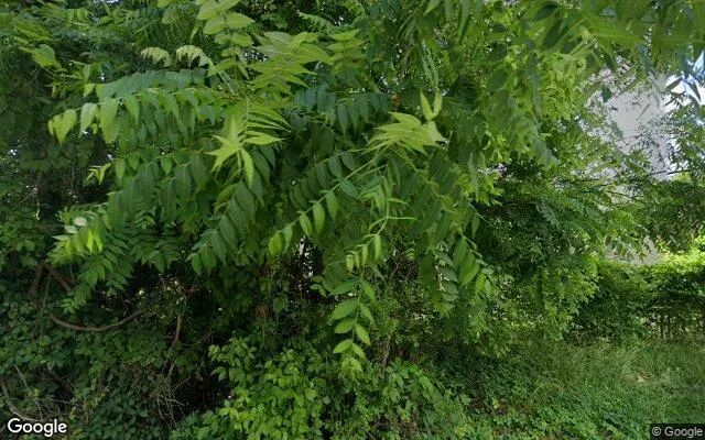 0.55 Acres in Abingdon - Washington County, VA in Washington County, VA