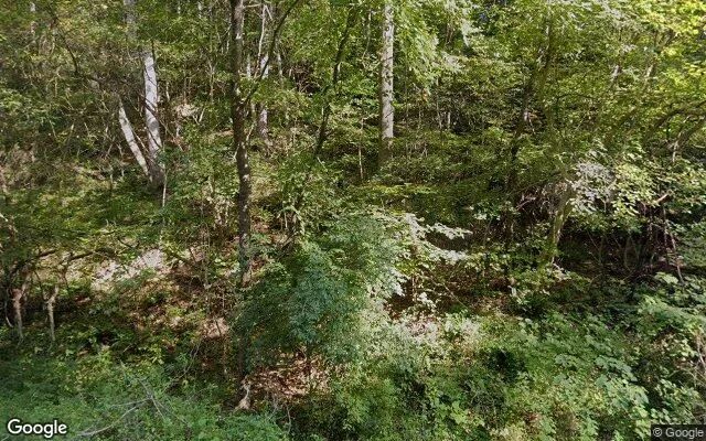 0.12 Acres in Hiwassee - Pulaski County, VA in Pulaski County, VA
