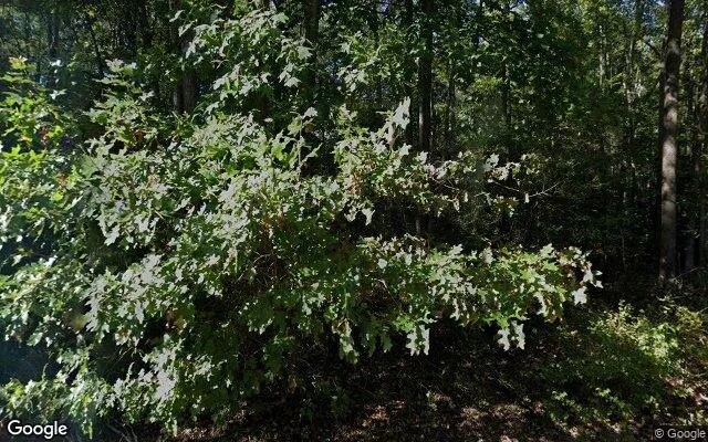 0.37 Acres in Dahlgren - King George County, VA in King George County, VA