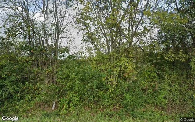 4.73 Acres in Mitchells - Culpeper County, VA - Image 4
