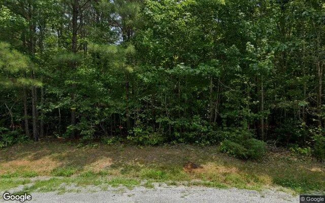 10.49 Acres in Ebony - Brunswick County, VA - Image 4