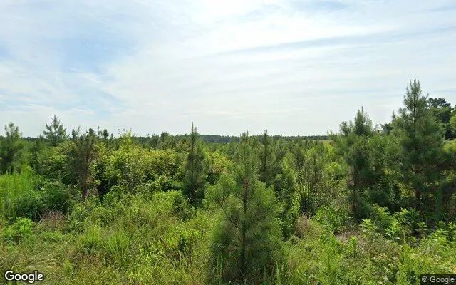 0.5 Acres in Dundas - Lunenburg County, VA - Image 4