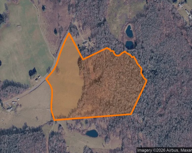 35.14 Acres in Meadows Of Dan - Patrick County, VA in Patrick County, VA