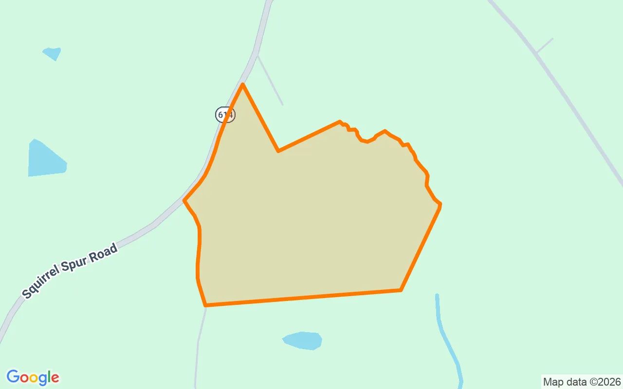 35.14 Acres in Meadows Of Dan - Patrick County, VA in Patrick County, VA
