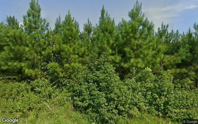 34.8 Acres in Victoria - Lunenburg County, VA in Lunenburg County, VA