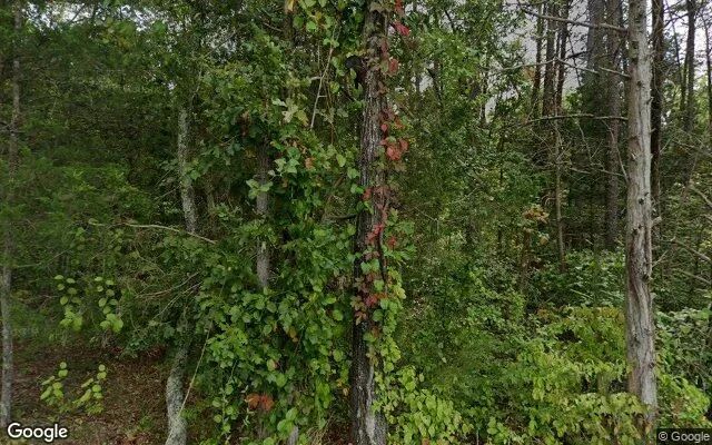 0.56 Acres in Oakpark - Madison County, VA - Image 4