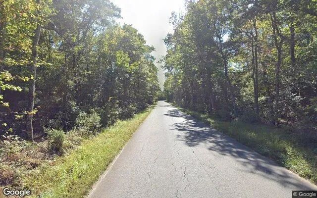 Decorative background for 15 Acres in King George - King George County, VA image 6