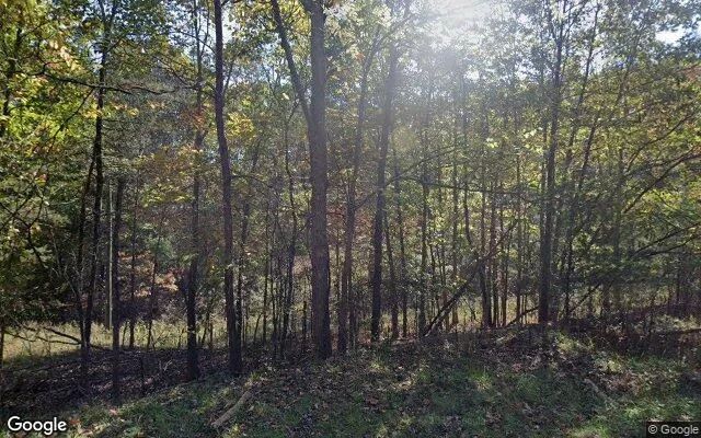 71.39 Acres in Millboro - Bath County, VA - Image 4