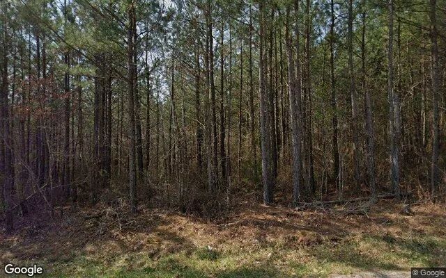14.99 Acres in Nottoway - Nottoway County, VA - Image 4