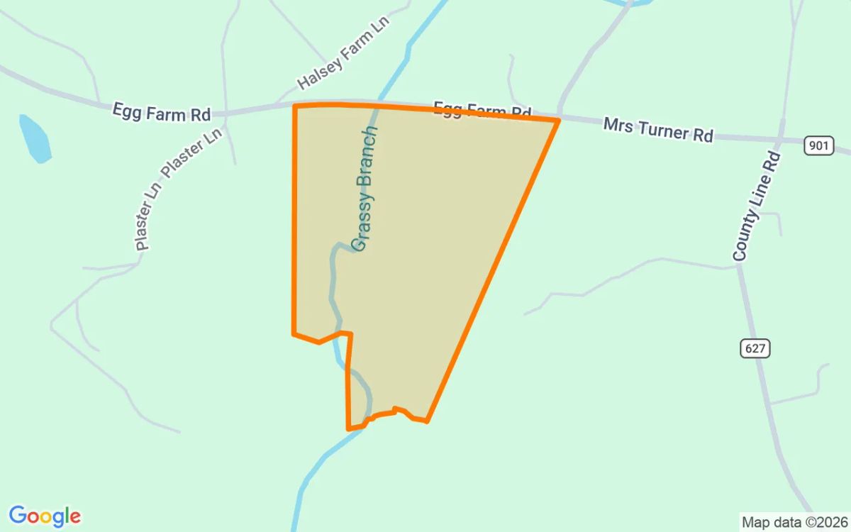 34.65 Acres in Patrick Springs - Patrick County, VA - Image 2