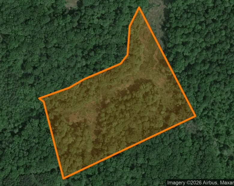 14.96 Acres in King George - King George County, VA in King George County, VA