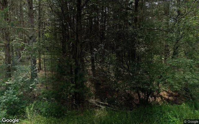 30.99 Acres in New Castle - Craig County, VA in Craig County, VA