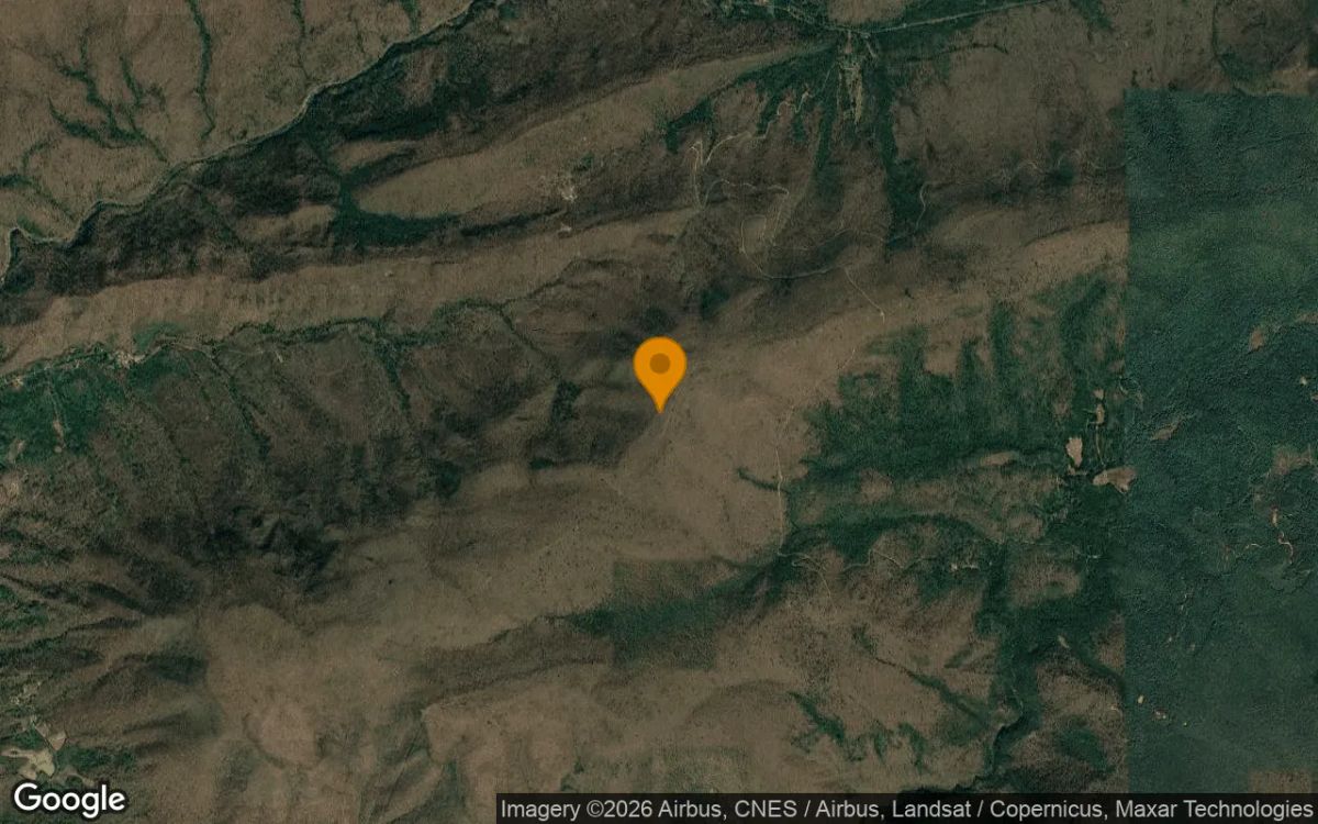 38.8 Acres in Ripplemead - Giles County, VA - Image 3
