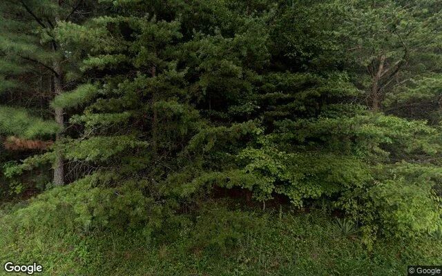 3.5 Acres in Gretna - Pittsylvania County, VA - Image 4