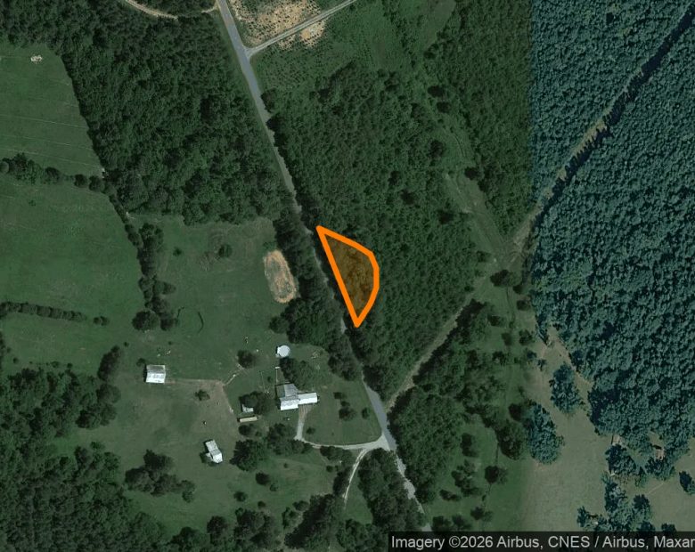 0.31 Acres in Nelson - Mecklenburg County, VA in Mecklenburg County, VA