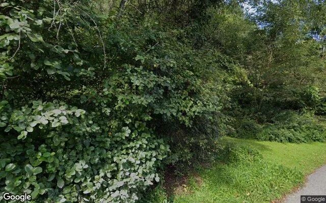 Decorative background for 4.15 Acres in Indian Valley - Floyd County, VA image 6