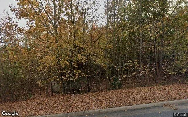 1 Acres in Dogue - King George County, VA - Image 4