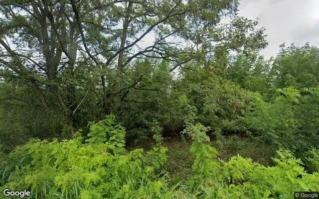 0.38 Acres in Red House - Charlotte County, VA - Image 4