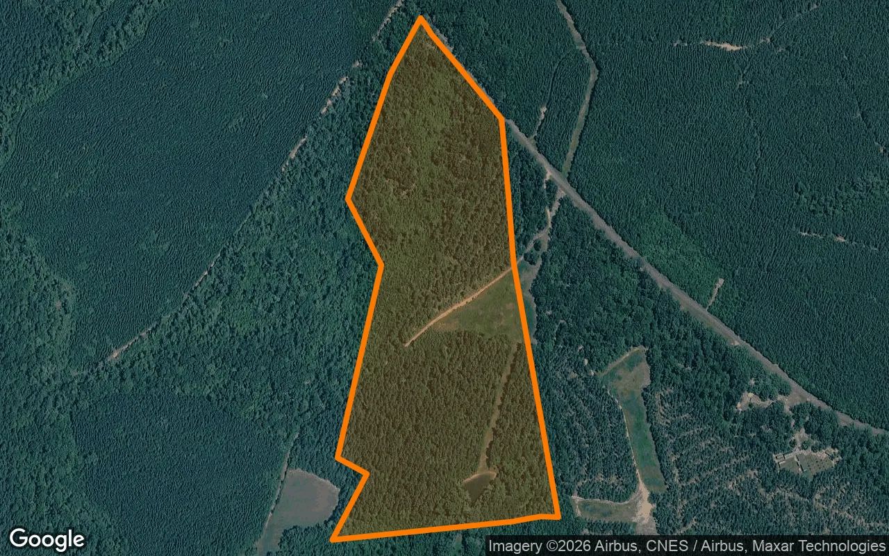 34.87 Acres in Charlotte Court House - Charlotte County, VA in Charlotte County, VA