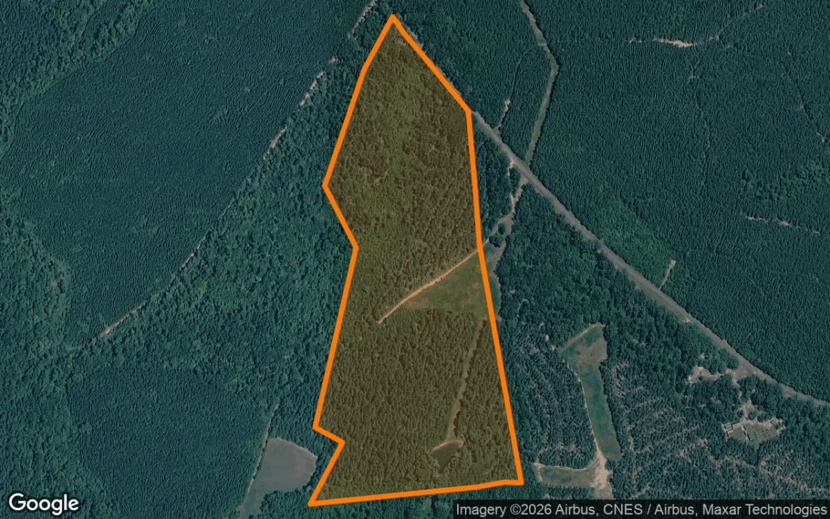 34.87 Acres in Charlotte Court House - Charlotte County, VA - Main image