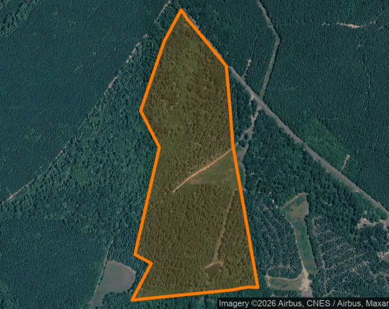 34.87 Acres in Charlotte Court House - Charlotte County, VA in Charlotte County, VA