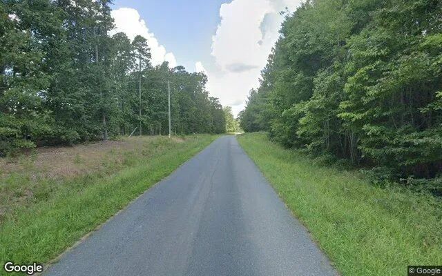 Decorative background for 34.87 Acres in Charlotte Court House - Charlotte County, VA image 6
