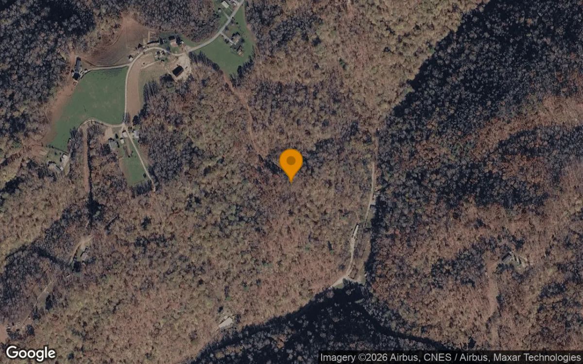 31.83 Acres in Birchleaf - Dickenson County, VA - Main image