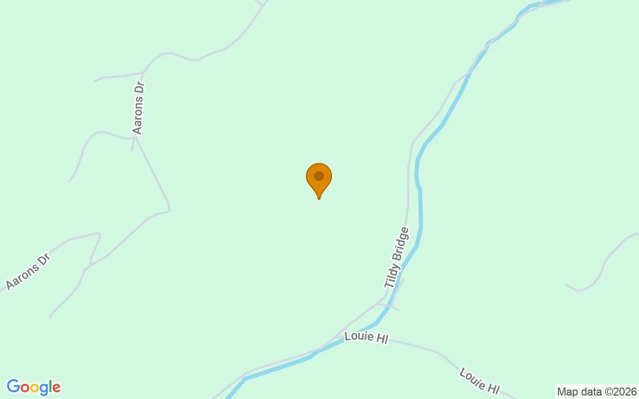 31.83 Acres in Birchleaf - Dickenson County, VA in Dickenson County, VA