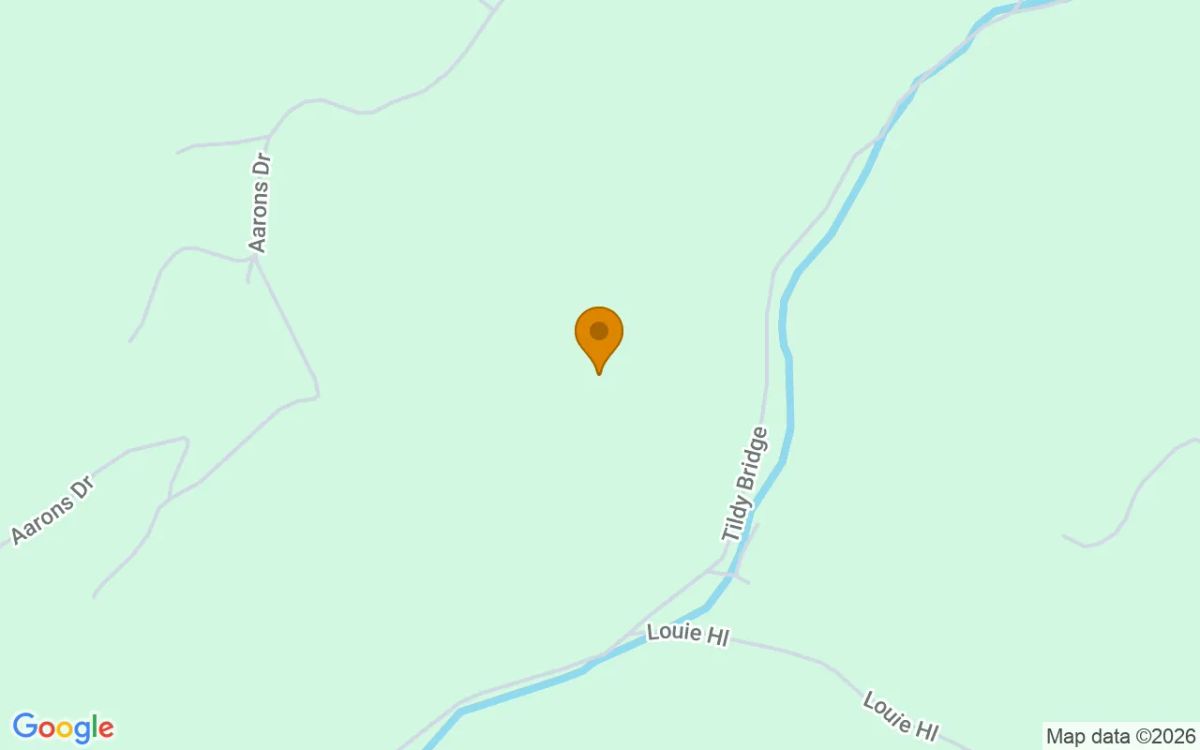 31.83 Acres in Birchleaf - Dickenson County, VA - Image 2