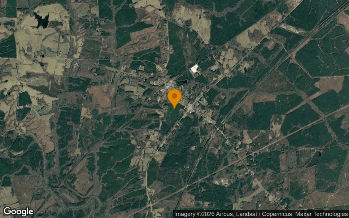 34.52 Acres in Mc Kenney - Dinwiddie County, VA - Image 3