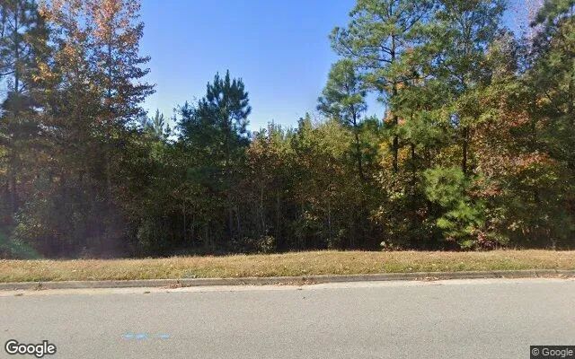 34.52 Acres in Mc Kenney - Dinwiddie County, VA in Dinwiddie County, VA
