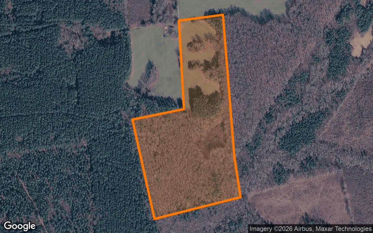 34.99 Acres in Mc Kenney - Dinwiddie County, VA - Main image