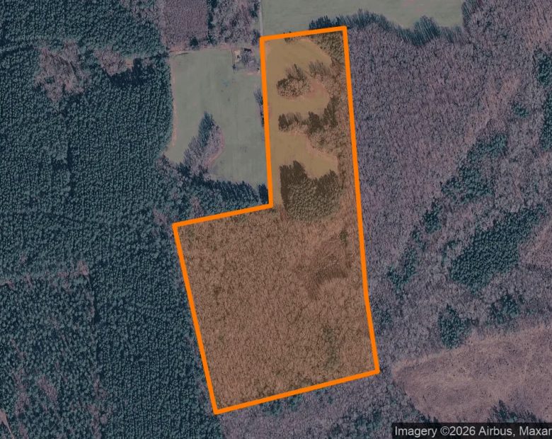 34.99 Acres in Mc Kenney - Dinwiddie County, VA in Dinwiddie County, VA