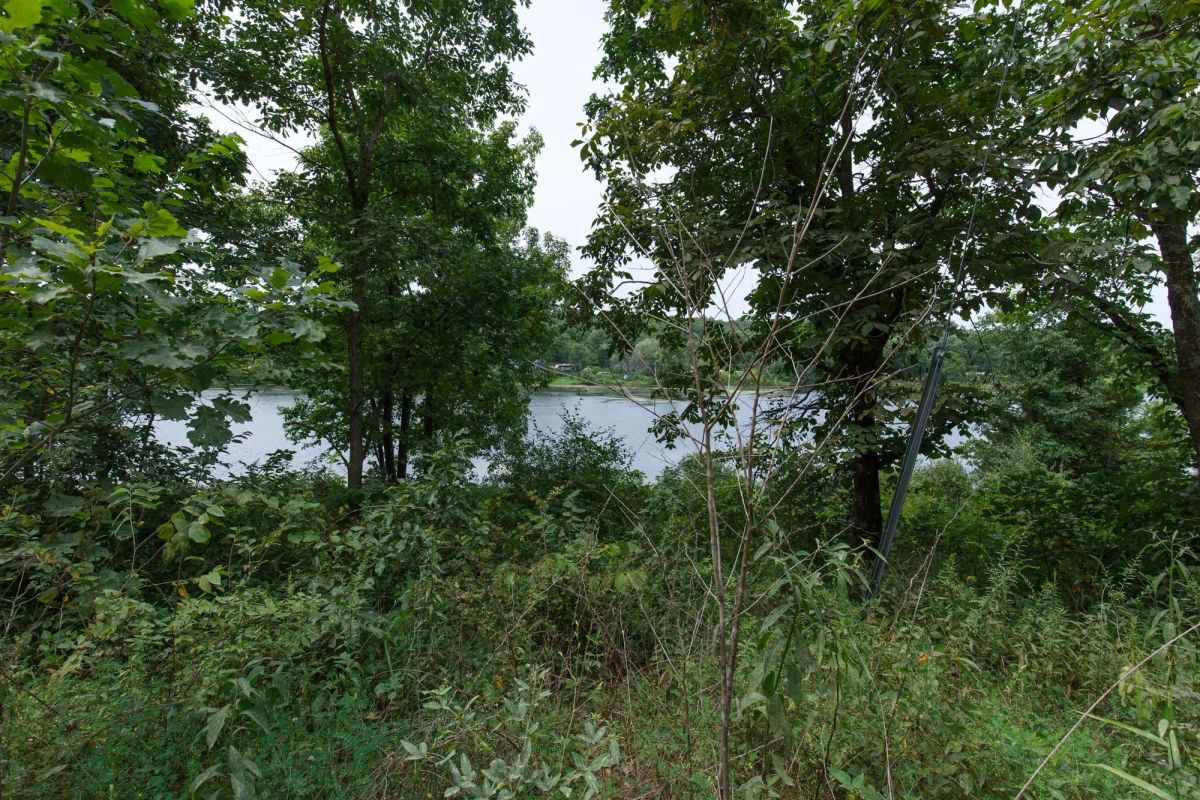 Decorative background for Spring Lake Plat 5 Tract 20 image 6