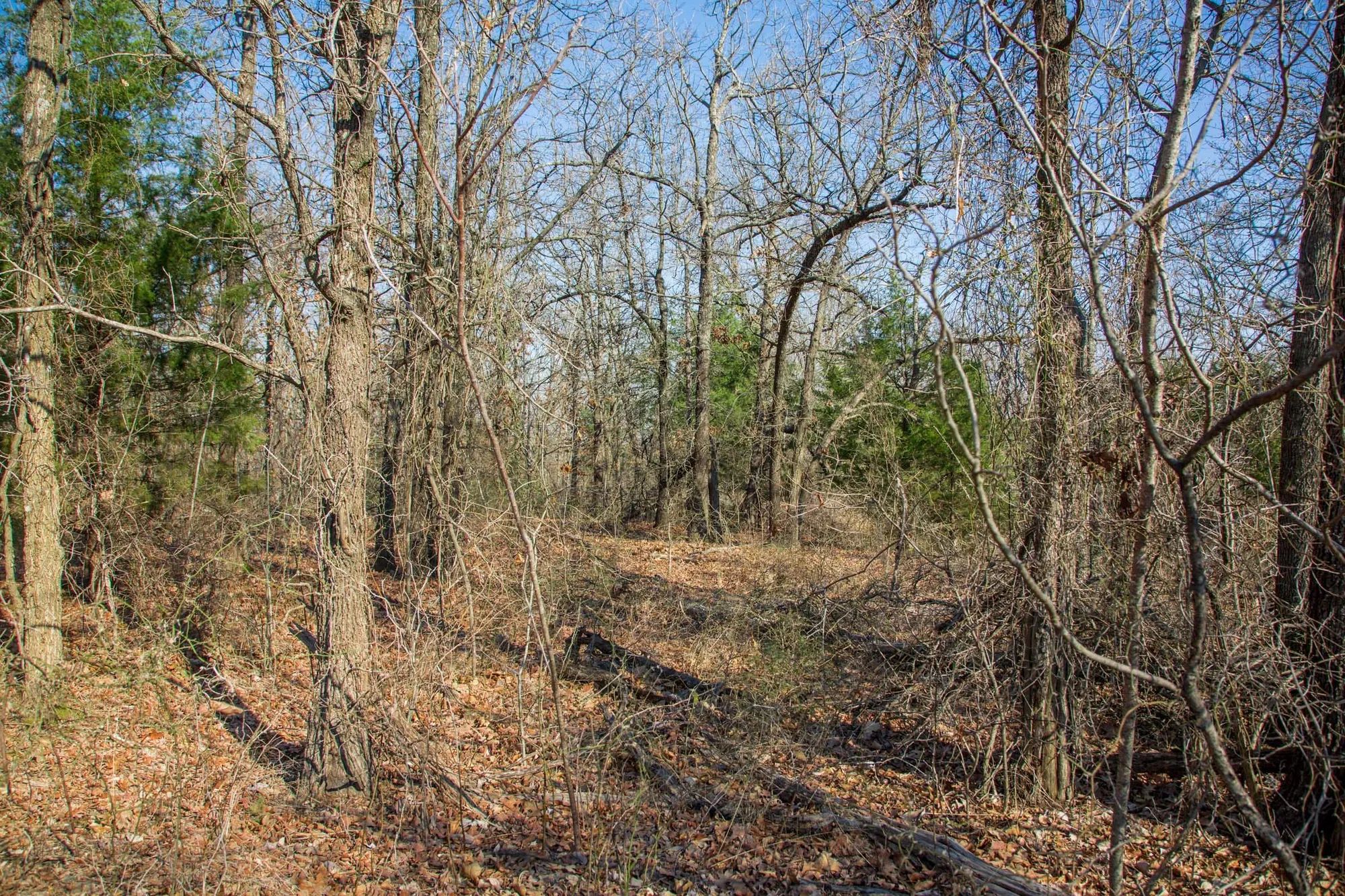 Eufaula Cove Tract 19 in Pittsburg County, OK