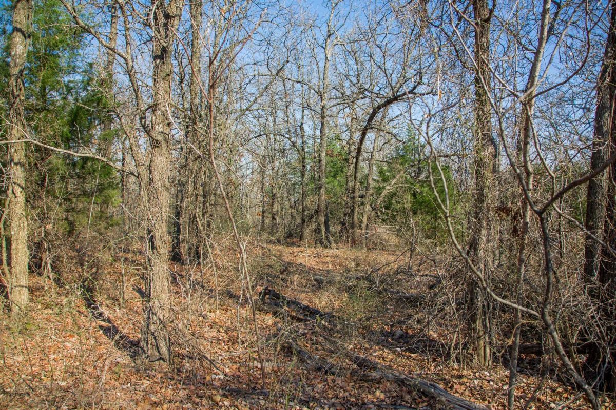 Eufaula Cove Tract 19 - Image 4