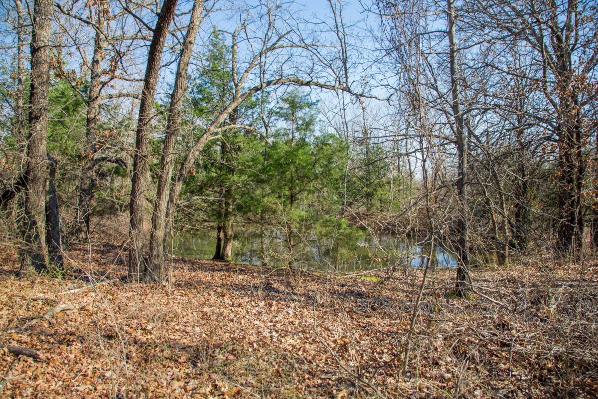 Decorative background for Eufaula Cove Tract 19 image 5