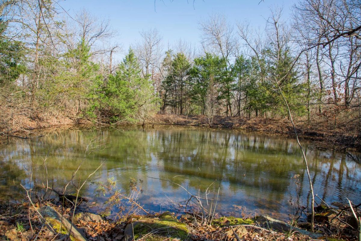 Decorative background for Eufaula Cove Tract 19 image 6