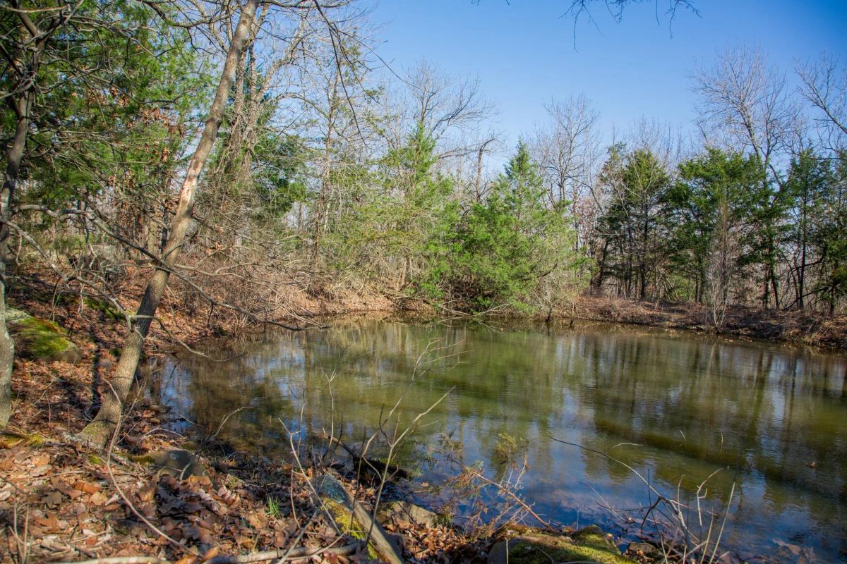 Decorative background for Eufaula Cove Tract 19 image 7