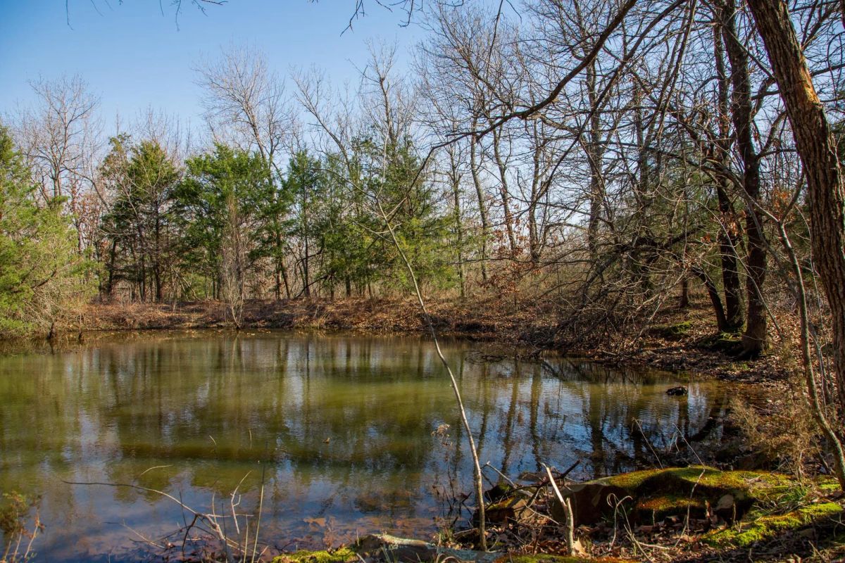 Decorative background for Eufaula Cove Tract 19 image 8