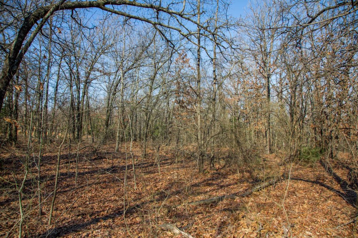 Decorative background for Eufaula Cove Tract 19 image 11