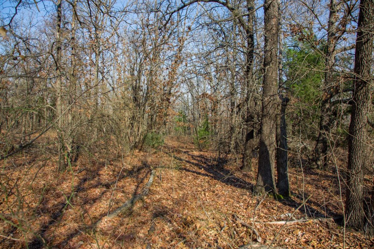 Decorative background for Eufaula Cove Tract 19 image 12